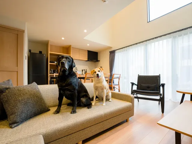 【ワンちゃんとお出かけ/D棟】ペット可のお部屋はワンちゃん連れでご利用いただけます