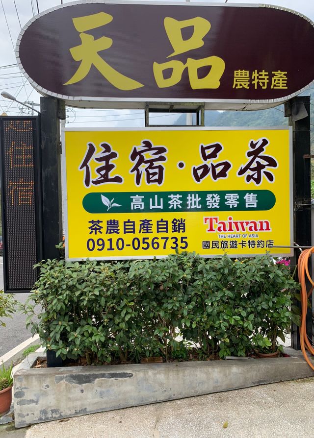 溪頭天品民宿-山景雙人房-6
