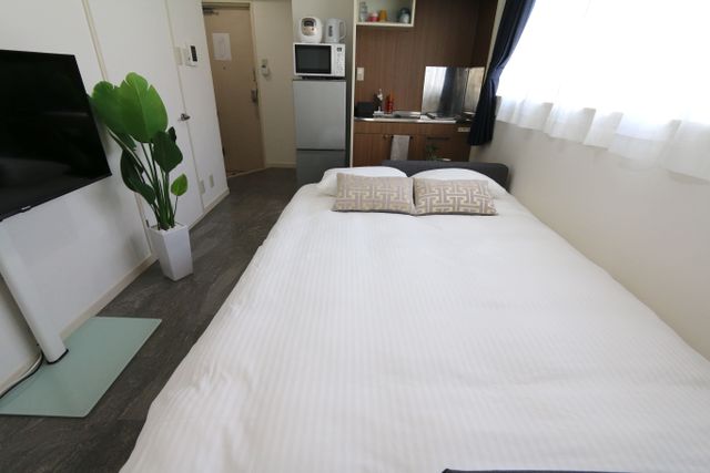 Double Sofa bed