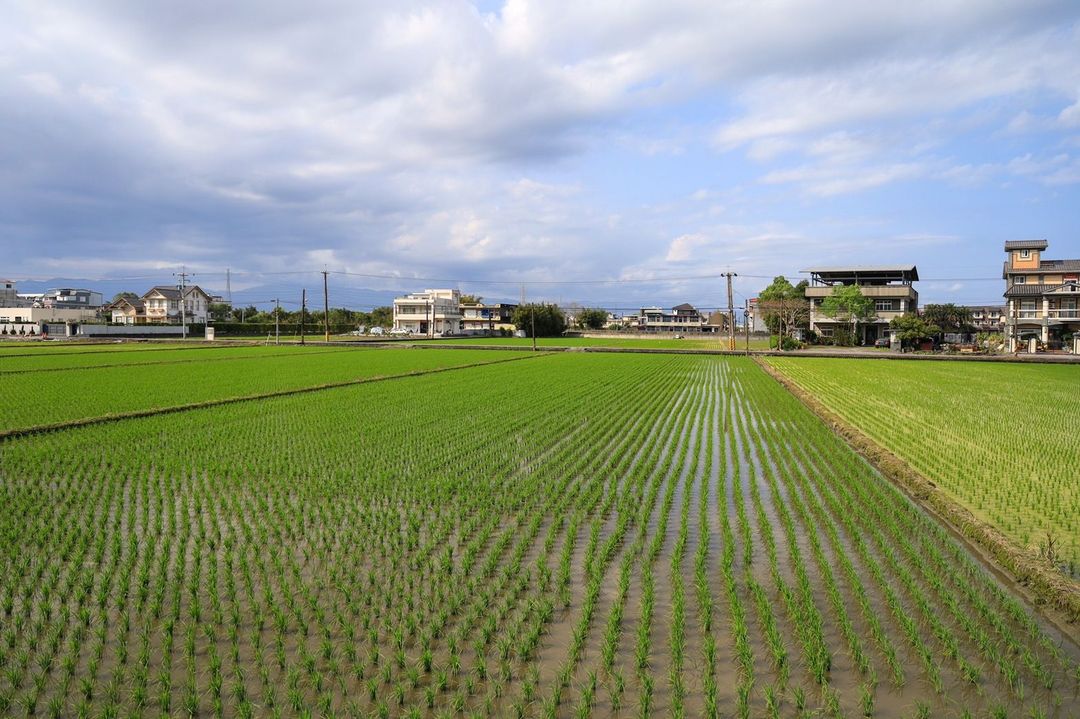 鸲花甜点民宿