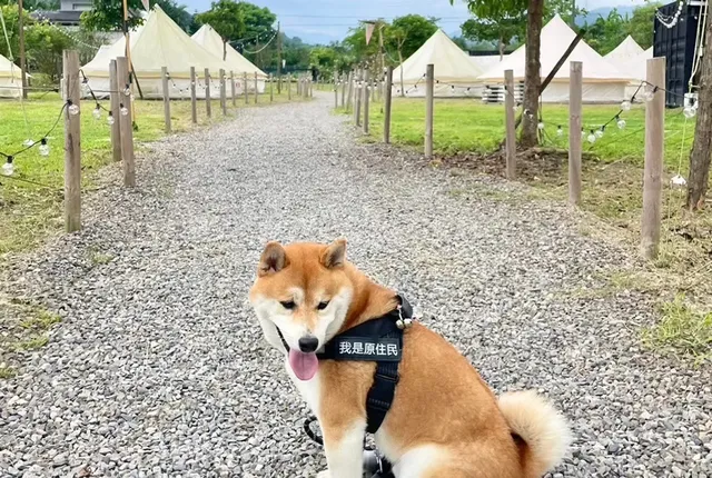 寵物友善免收費