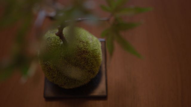 Staypia旅居 難波惠美須 | 惠美須町站步行1分/近通天閣-902-4