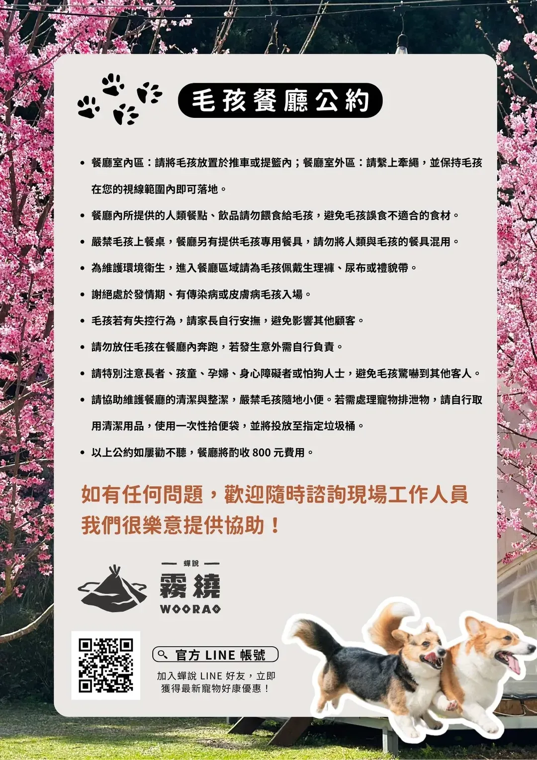 蝉说：雾绕｜一泊二食再送迎宾点心