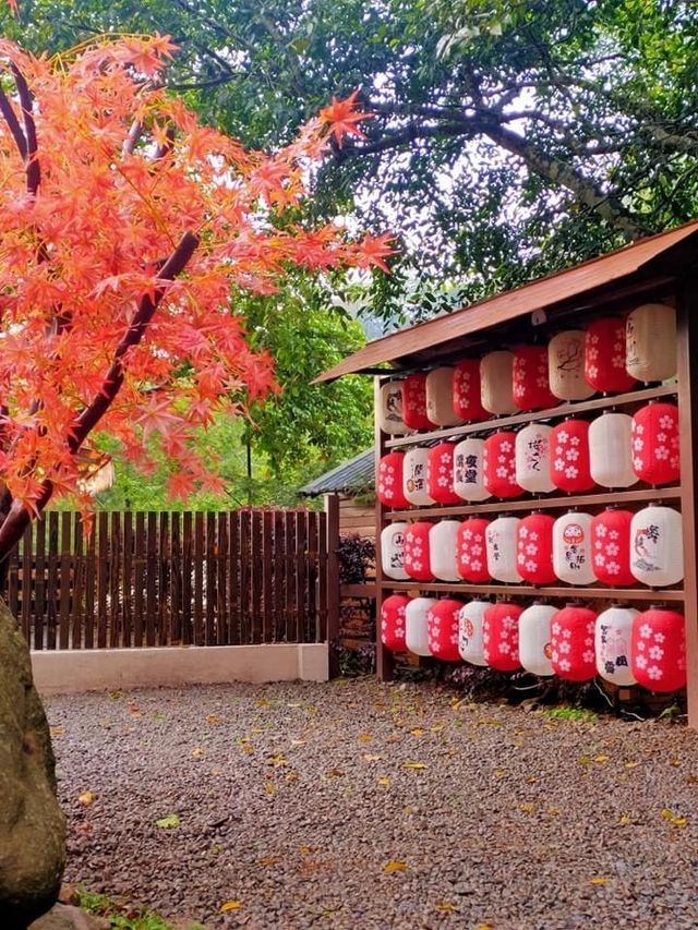 山川密境露營區｜親子露營、山林戲水池、沙坑-C - 4人日式小屋(共2間)-3