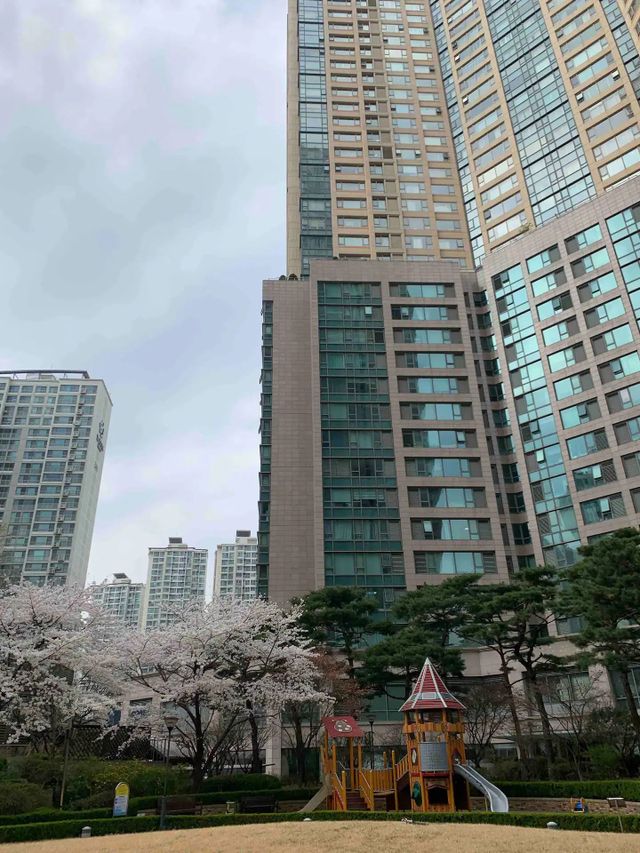 蠶室鋼琴廣場｜近蠶室站 樂天世界 石村湖-四人房-13