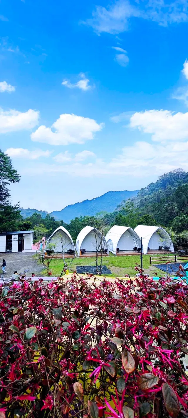 山川密境露營區｜親子露營、山林戲水池、沙坑-D - 豪華宮殿帳-5