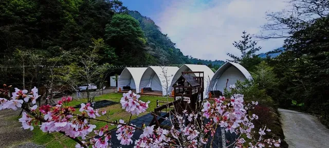 山川密境露營區｜親子露營、山林戲水池、沙坑-D - 豪華宮殿帳-1
