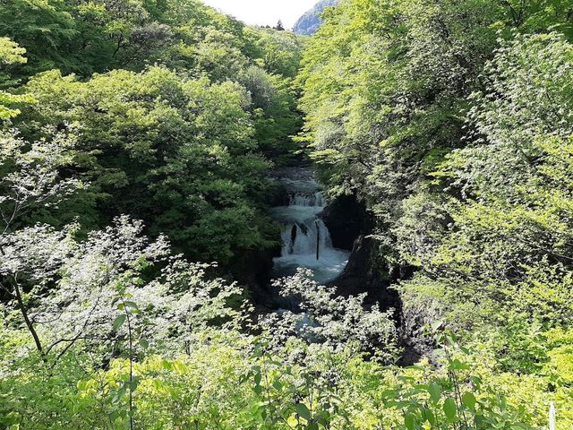 鳳凰の滝