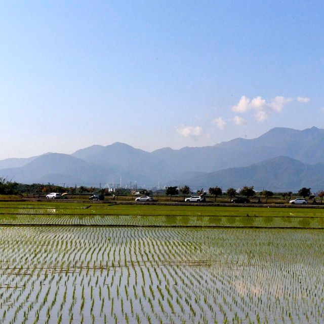 幸福蝸牛 | 可6-30人包棟 | 烤肉、麻將、賞花、賞鳥-愜意雙人套房-5