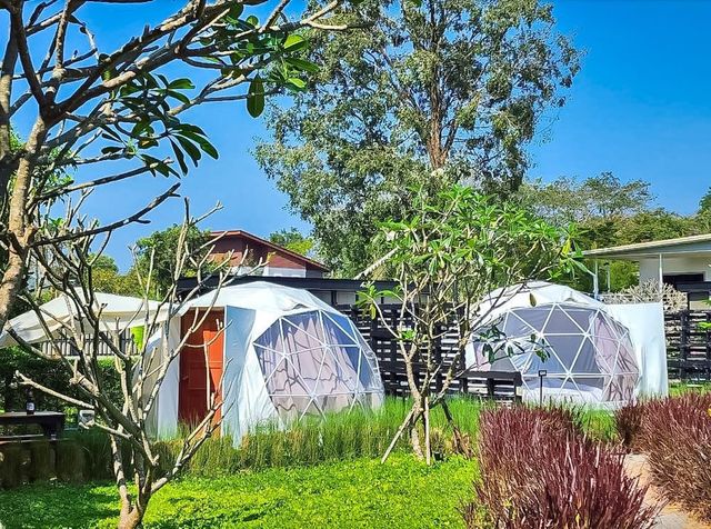 考艾山豪華露營 (Glamping Hill Khaoyai)-【懶人露營】園景園頂帳 (含早餐) (Dome Garden (Room with breakfast))-8