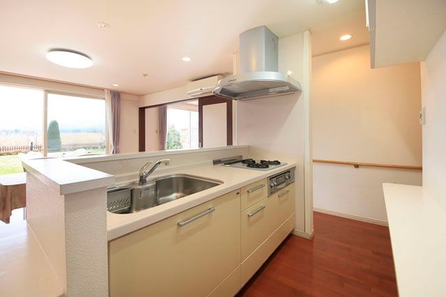 Lavender kitchen