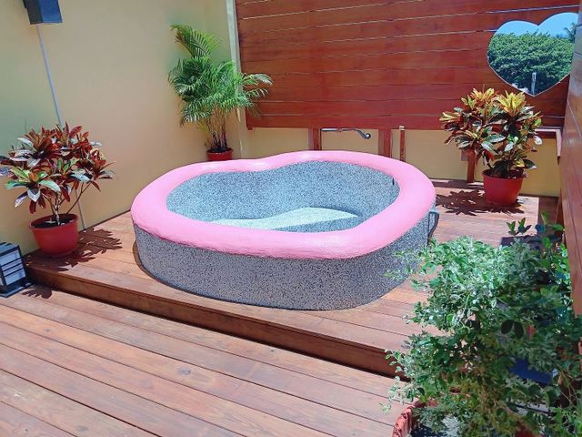 301頂樓戶外戲水池