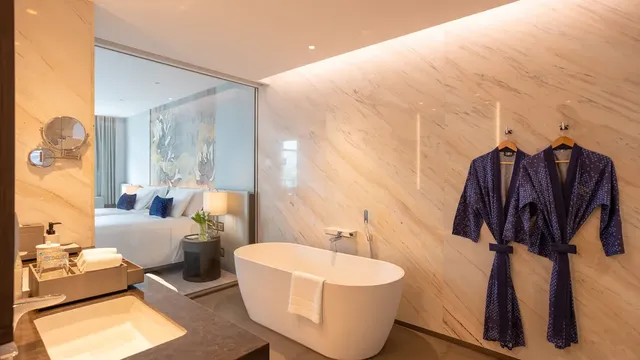 Deluxe Twin Room ( Bathroom)