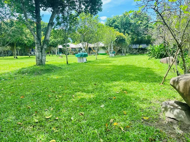 Puli Osmanthus Garden Art Ecological Camp-【Self tent】Grass Area D｜8M*5M-1
