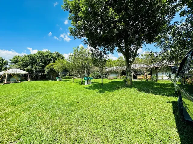 Puli Osmanthus Garden Art Ecological Camp-【Self tent】Grass Area D｜8M*5M-2