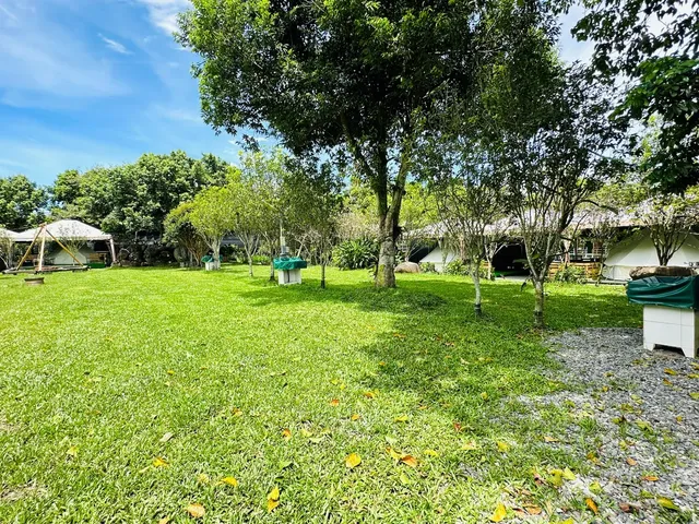 Puli Osmanthus Garden Art Ecological Camp-【Self tent】Grass Area D｜8M*5M-5