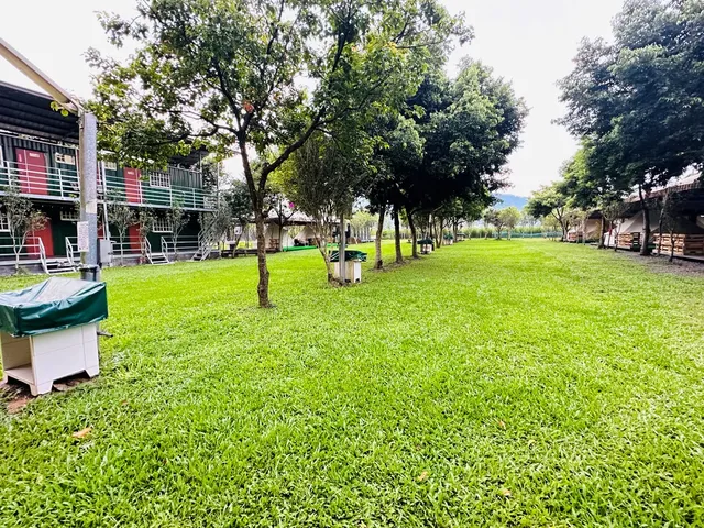 Puli Osmanthus Garden Art Ecological Camp-【Self tent】Grass Area F｜8M*5M-2