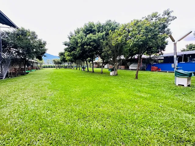 Puli Osmanthus Garden Art Ecological Camp-【Self tent】Grass Area F｜8M*5M-1