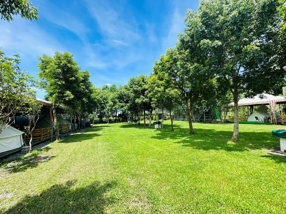 埔里桂花庭生態營地|獨家85折起!!南投懶人露營、CP值高-【自搭帳】草地F區|8M*5M-3