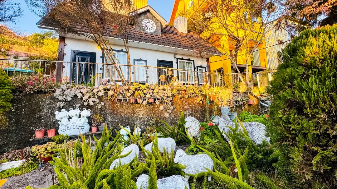 31 Homestay