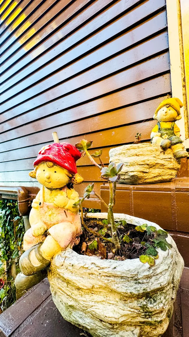 31 Homestay-Star landscape 4-room-6