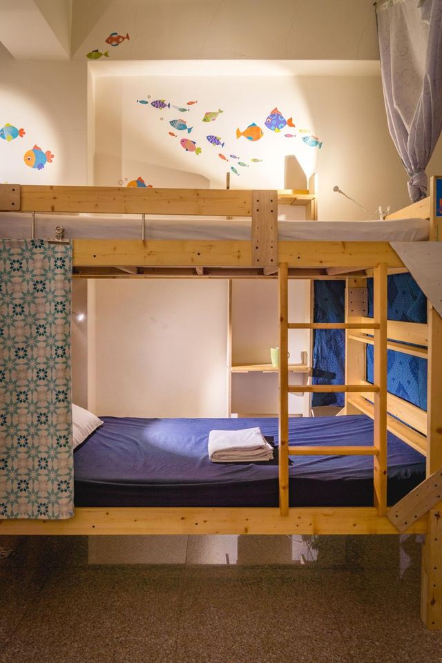Fish trip-8-bed mixed dormitory room-6