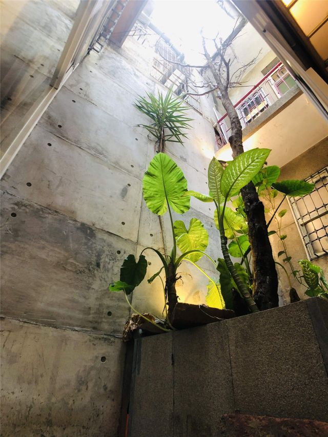 F 大福 房內照片【天井】