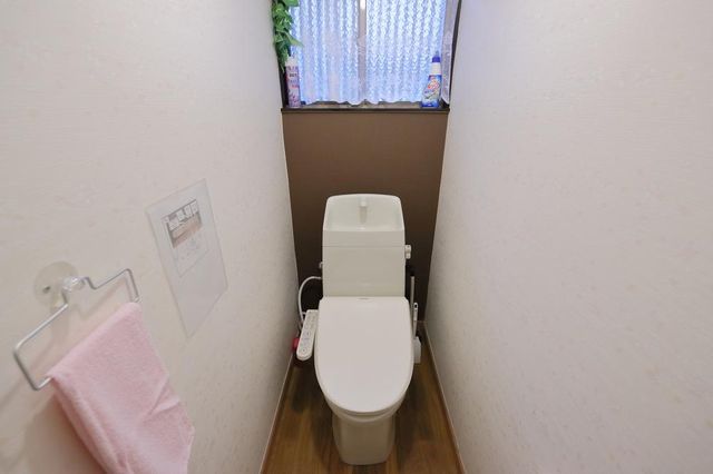 toilet with auto washer