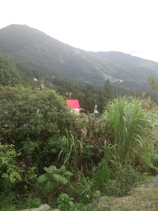 金蘭小築 | 可16人包棟 | 烤肉 | 近奮起湖老街-觀山-5