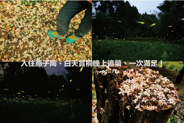 燕子陶 陶藝咖啡民宿-子 四人套房-7
