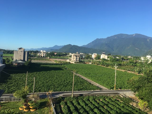 眺望花東縱谷風光