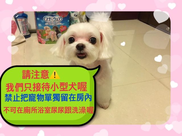 咩咩不是羊｜免費咖啡,腳踏車-雙人房-5
