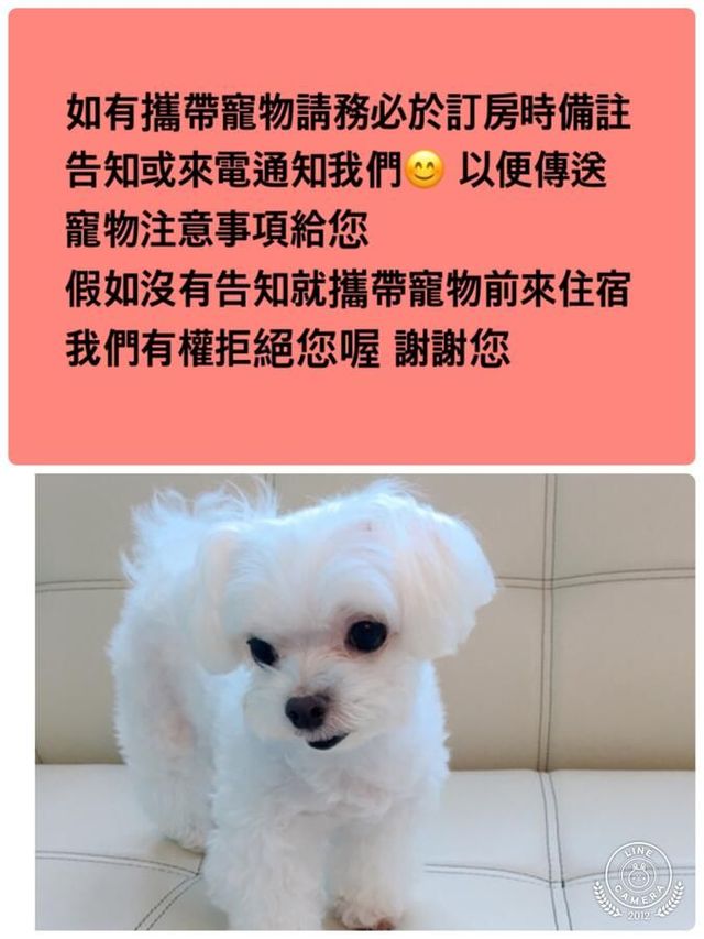 咩咩不是羊｜免費咖啡,腳踏車-四人房-5