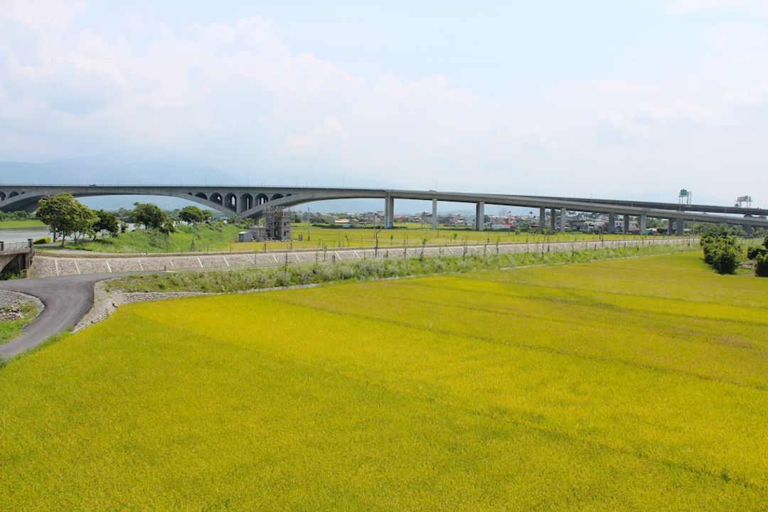 岸196 Ashore