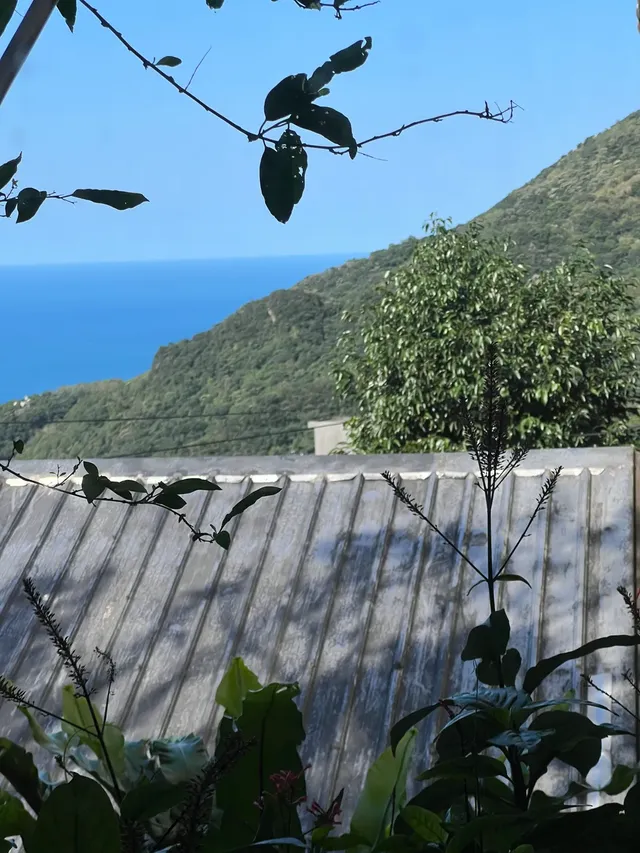 神隱國度民宿 | 可選購12人包棟  | 九份日間、夜間導覽-{千葉}日式山景雙人景觀套房｜附浴缸-2