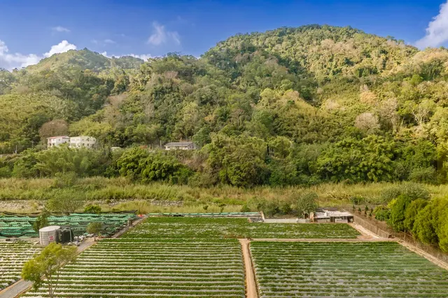 泉銘行館-標準雙人房-10