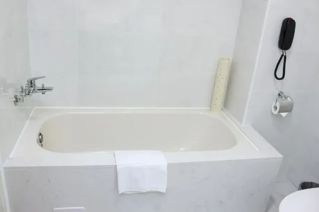 仲信金鬱金香酒店 | 近洲際棒球場-品臻三人房(含早餐）-4
