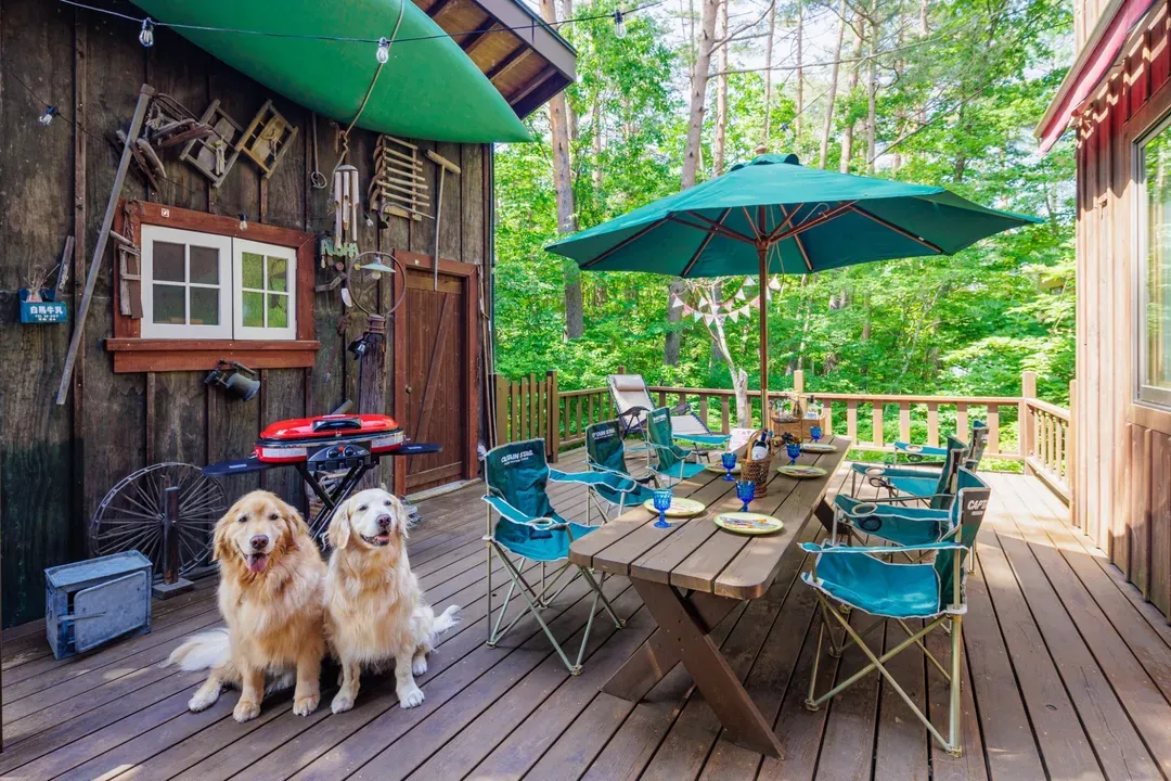 Laid Back Chalet