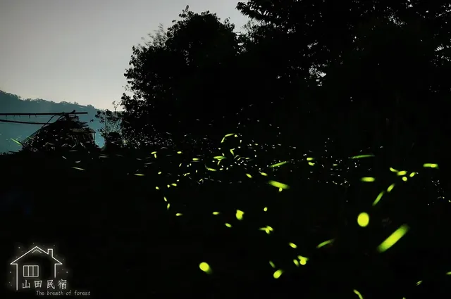 山田民宿 | 露營車、包棟房型-【露營車】山田和煦露營車-7