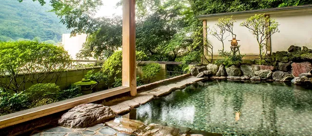 箱根湯本溫泉 仙景飯店｜箱根湯本站步行10分/近飛烟瀑布-紫苑｜附露天浴池【不挑房】-6