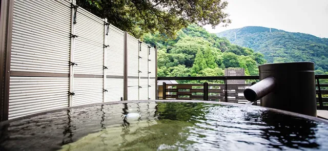 箱根湯本溫泉 仙景飯店｜箱根湯本站步行10分/近飛烟瀑布-宇治｜附露天浴池【不挑房】-4