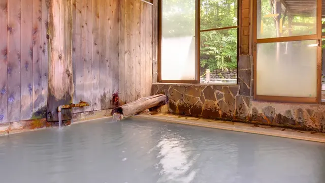 Ogama Onsen-No bath With toilet2-4pax 10 Tatami Mats-4