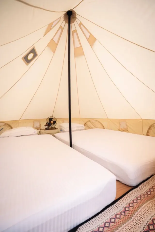 夏綠地露營區-【免裝備露營】小資鐘型帳｜禁止攜帶寵物-2