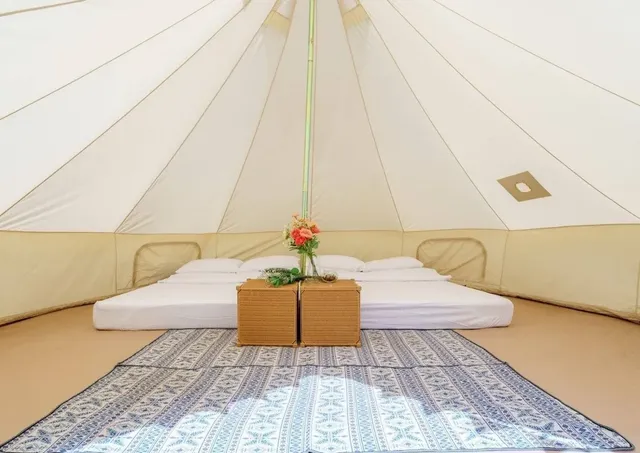 夏綠地露營區-【免裝備露營】經典鐘型帳｜禁止攜帶寵物-2