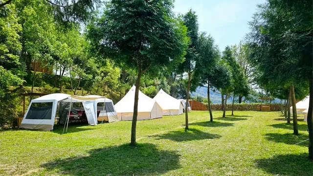 夏綠地露營區-【免裝備露營】經典鐘型帳｜禁止攜帶寵物-4