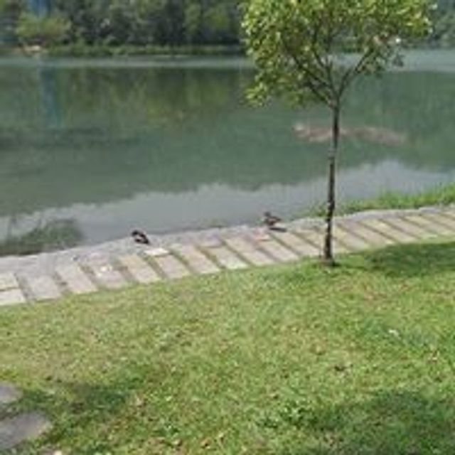 鹿野星蹤HOMESTAY-四人主題套房-10