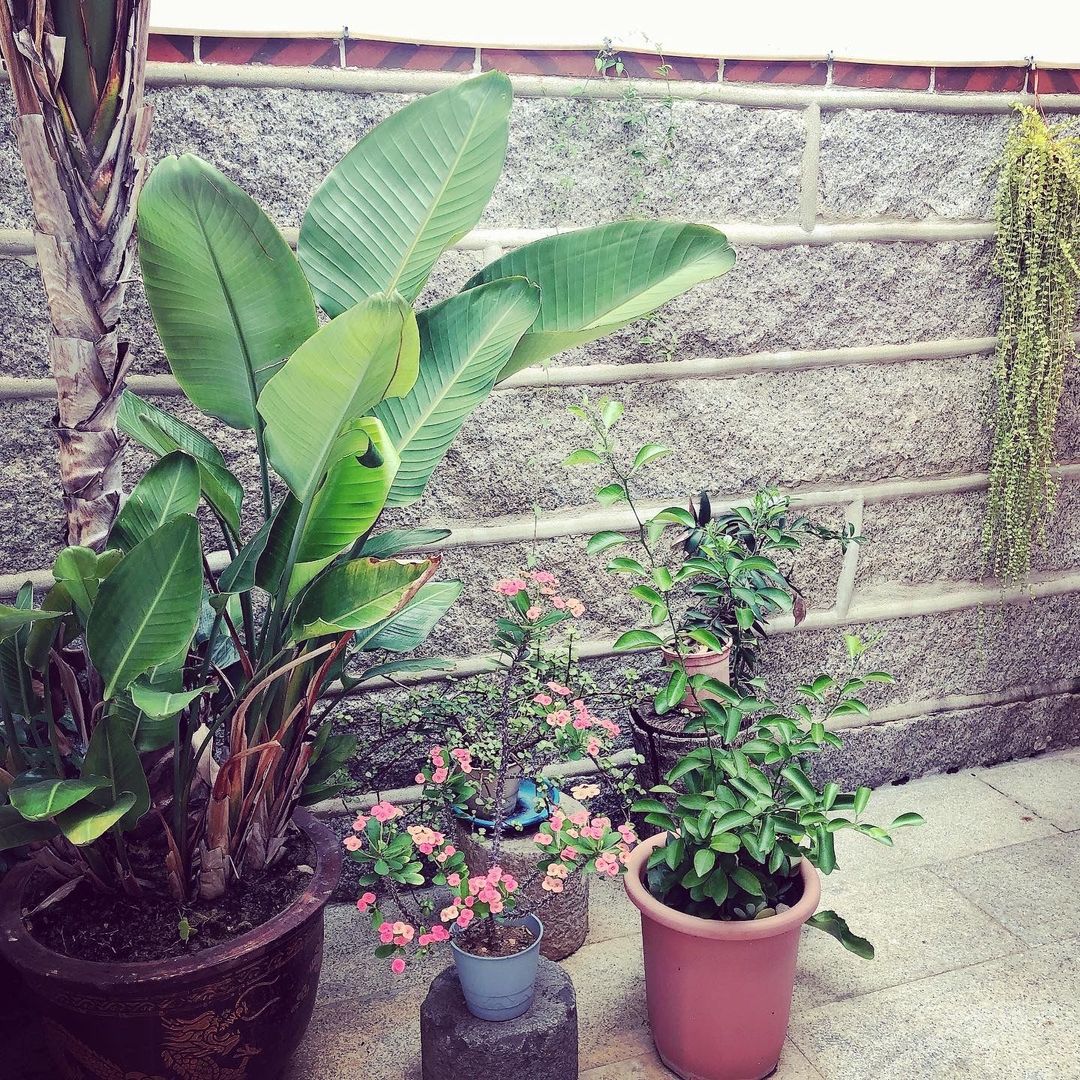 依山行館