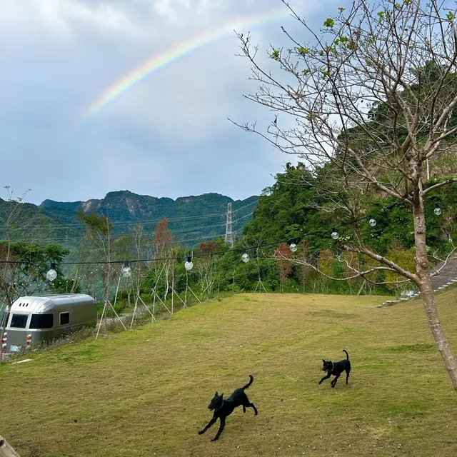 森山谷｜獨家8折起！奢華全景星空帳、質感美式露營車、一泊三食-【懶人露營】星空帳篷｜雙人房-11