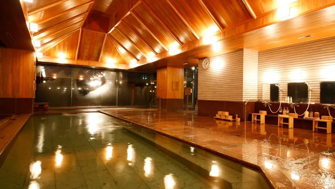 Takayama Green Hotel