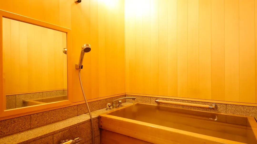 Takayama Green Hotel